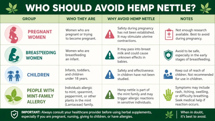 Table-style graphic listing who should avoid hemp nettle: pregnancy, breastfeeding, children, mint-family allergy