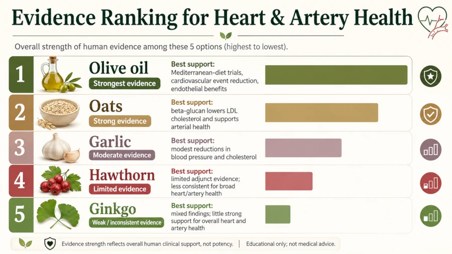 Chart ranking garlic, oats, olive oil, hawthorn and ginkgo by strength of evidence for heart and artery health.
