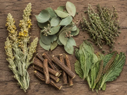 A flat-lay arrangement of dried mullein, eucalyptus leaves, thyme sprigs, licorice root, and common plantain on a wooden surface.