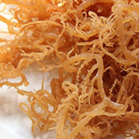 Irish Moss: Your Natural Health Booster? Top 10 Questions Answered 3