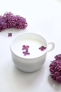 lilac tincture benefits