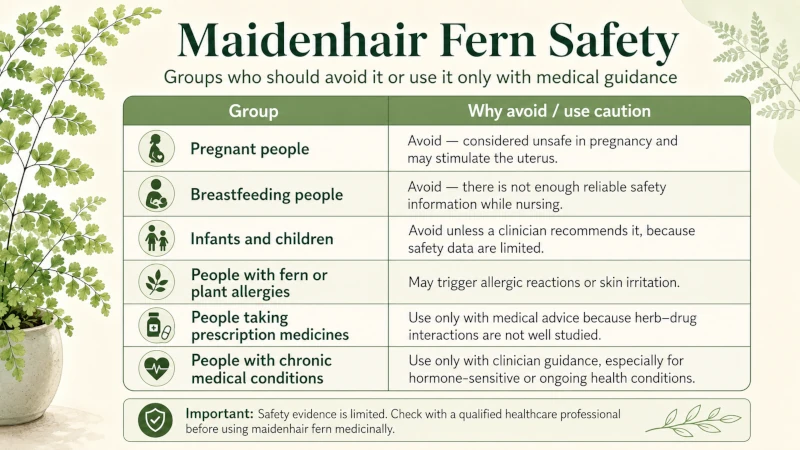 Safety table listing groups who should avoid maidenhair fern, including pregnant and breastfeeding people.