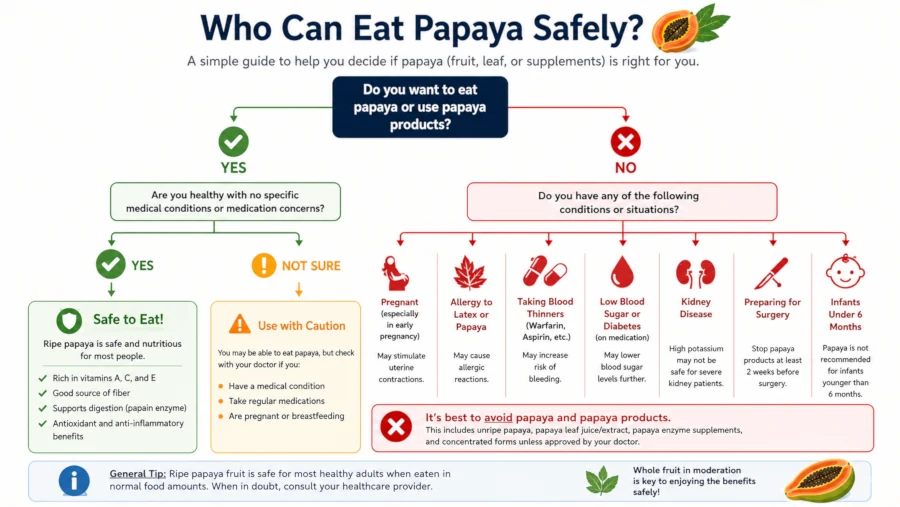 Decision tree showing who can eat papaya safely and who should avoid papaya products