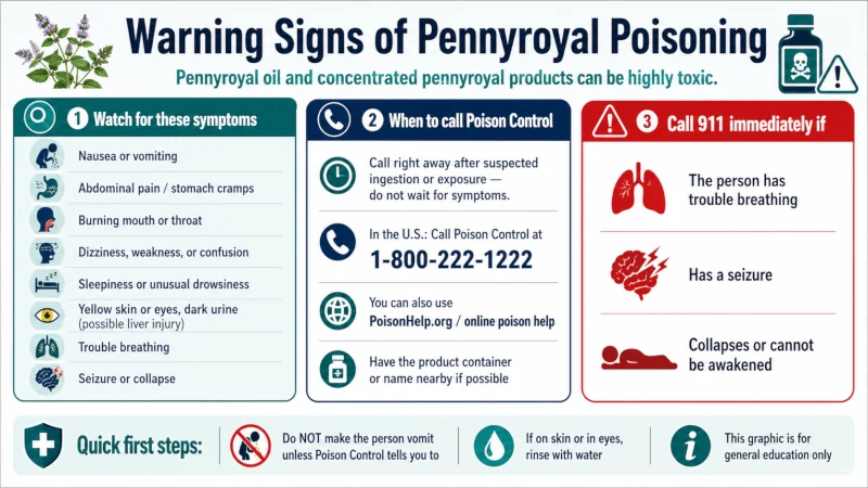 Warning signs of pennyroyal poisoning and when to call Poison Control.