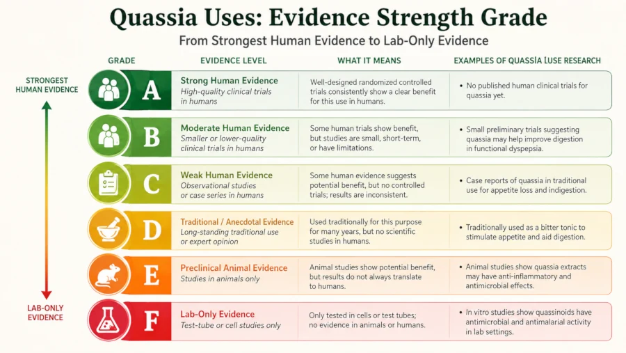 Chart grading quassia uses from strongest human evidence to lab-only.