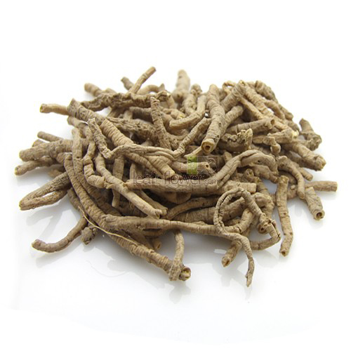 seneca root medicine