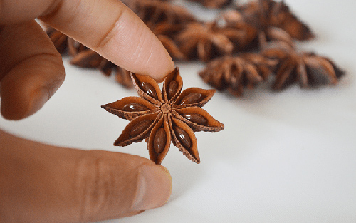 star anise plant size