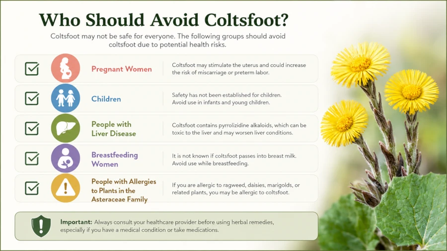 Checklist of groups who should avoid coltsfoot including pregnancy, children, and liver disease.