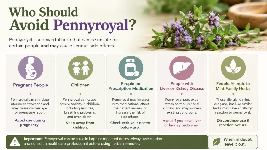 List of people who should avoid pennyroyal, including pregnant people, children, and those on prescription medication.
