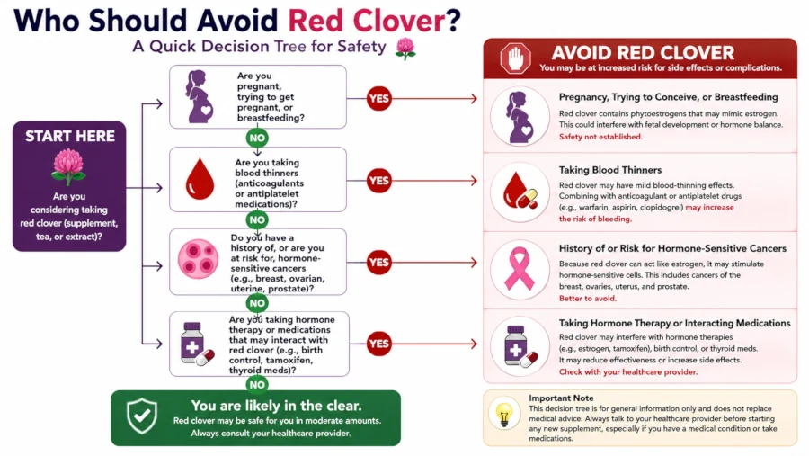 Decision tree showing who should avoid red clover, including pregnancy, blood thinners and hormone-sensitive cancers