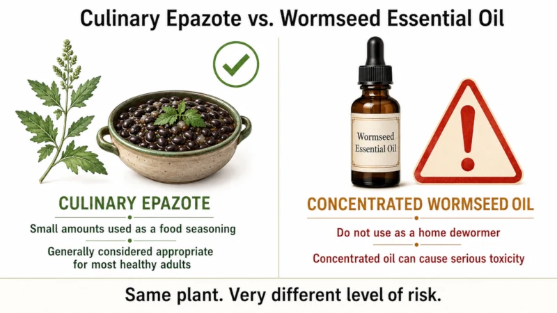 Comparison of safe culinary epazote versus concentrated wormseed essential oil.