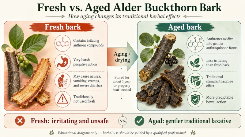 Diagram comparing fresh alder buckthorn bark and aged bark and their different effects.