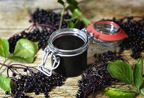 black elderberry benefits