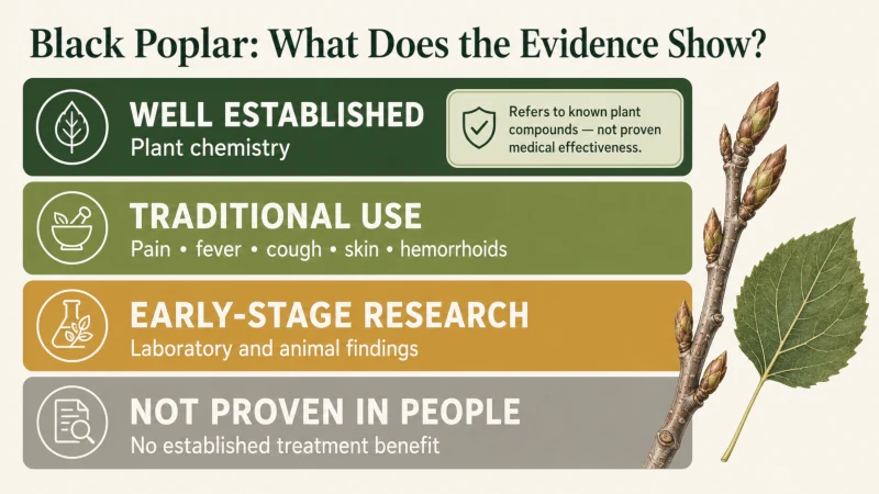 Evidence scale showing black poplar chemistry as established while proposed health benefits remain traditional or early-stage