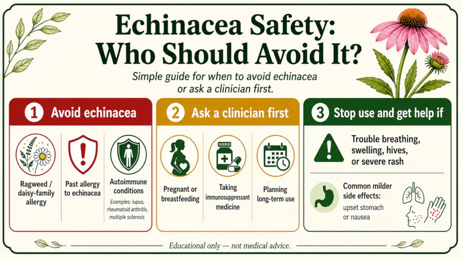 Safety graphic listing groups who should avoid echinacea, including ragweed allergy and autoimmune conditions.
