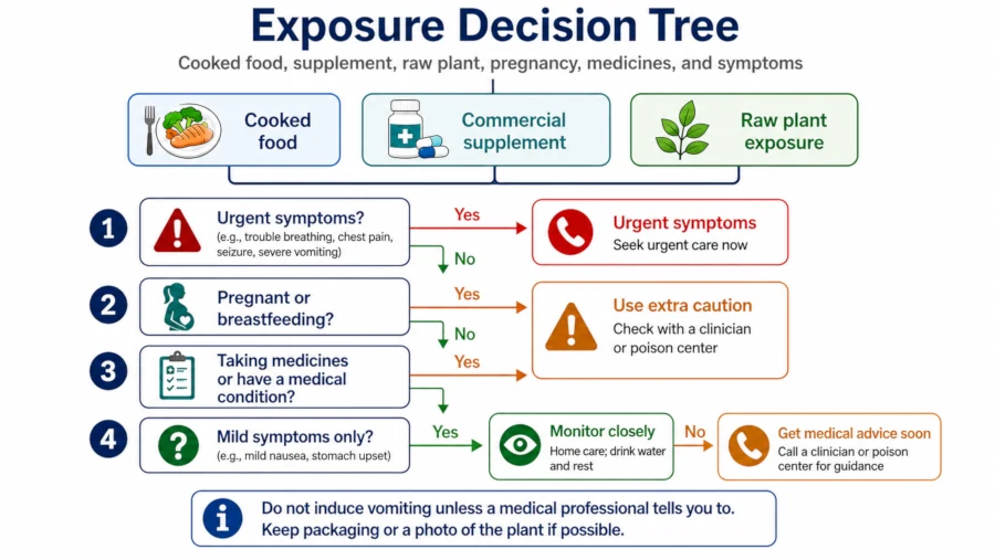 Decision tree for cooked food, commercial supplement, raw plant exposure, pregnancy, medicines, and urgent symptoms