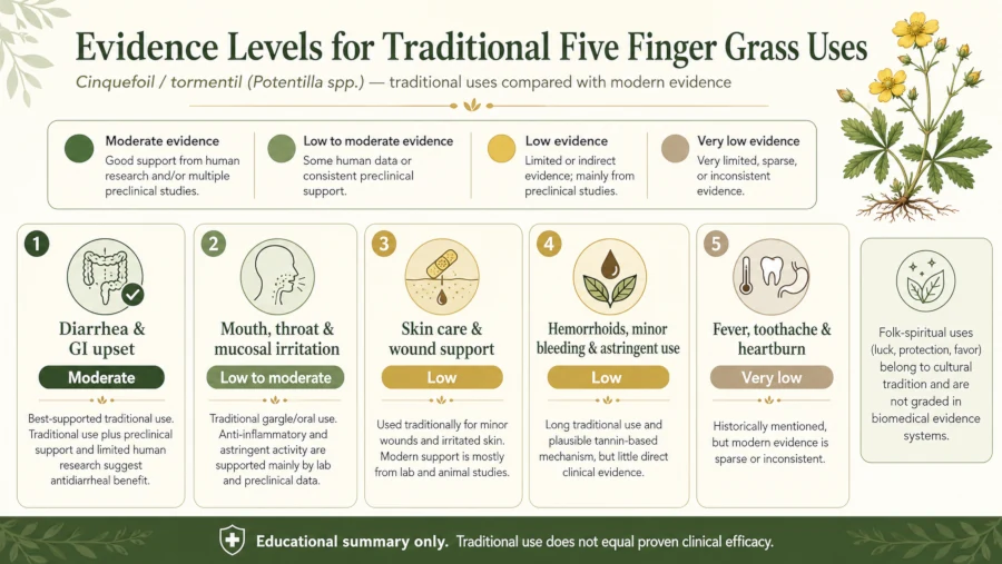 Evidence levels for traditional five finger grass uses