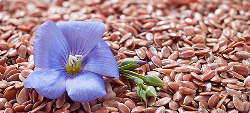 how to eat flax seeds to reduce tummy