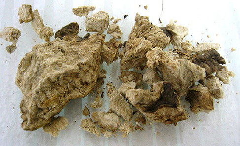 jalap root benefits