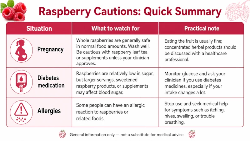 Table summarizing raspberry cautions for pregnancy, diabetes medication, and allergies