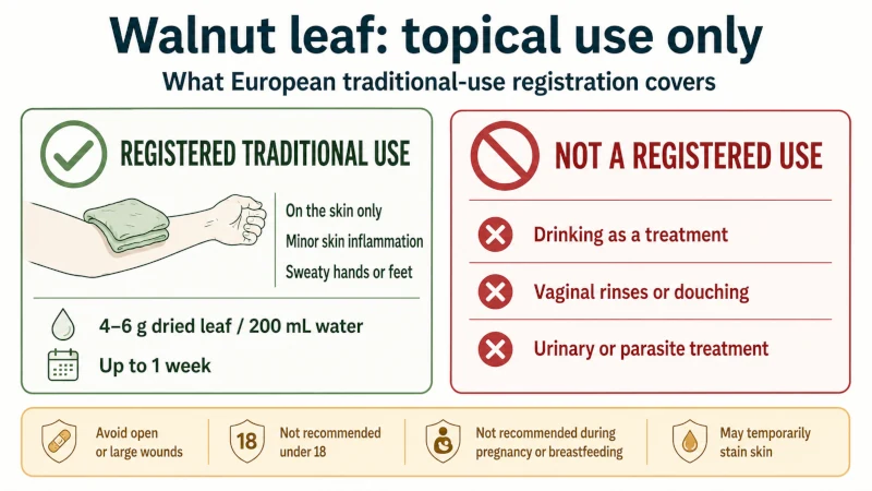 Walnut leaf safety infographic showing recognized topical use and warning against internal use