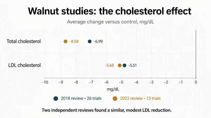 Chart showing similar LDL and total cholesterol reductions reported by two walnut meta-analyses