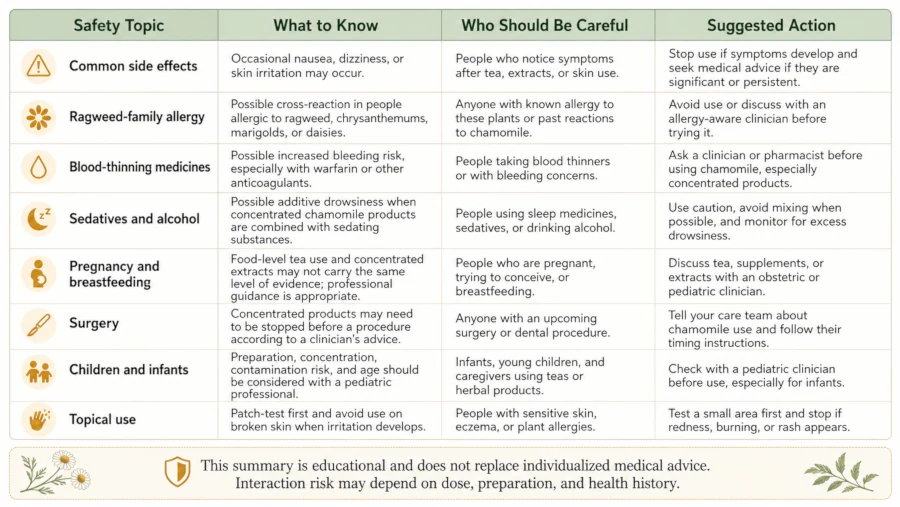 Table summarizing German chamomile side effects, allergy risk, and drug interactions.