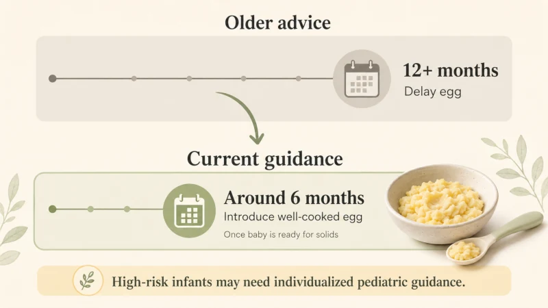 Timeline showing current guidance to introduce well-cooked egg around six months instead of delaying until one year
