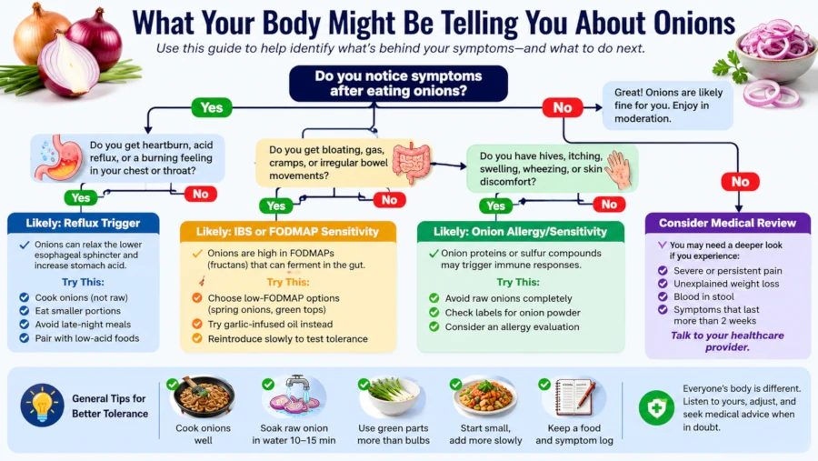 Decision tree guiding readers from onion-related digestive symptoms to reflux, IBS, allergy or medical review