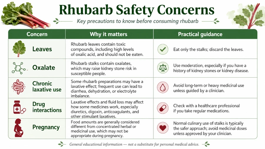 Table summarizing rhubarb safety concerns: leaves, oxalate, chronic laxative use, drug interactions, and pregnancy.