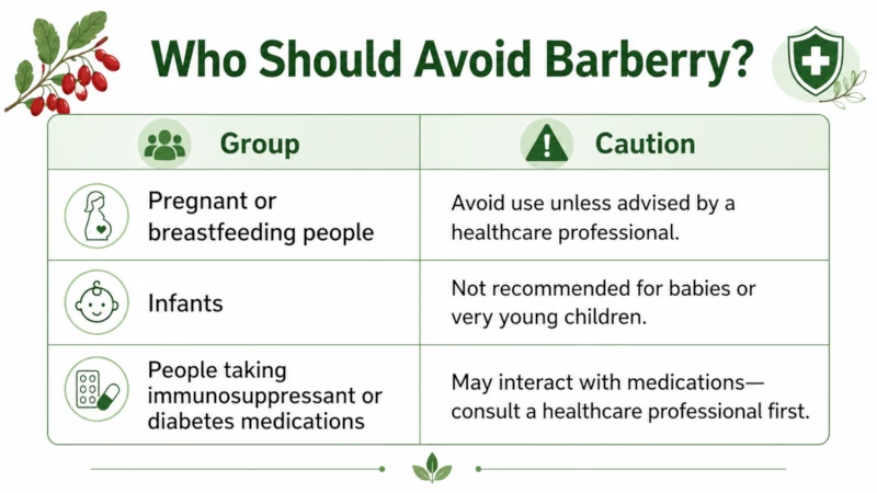 Table listing who should avoid barberry: pregnant or breastfeeding people, infants, and people on immunosuppressant or diabetes medications.