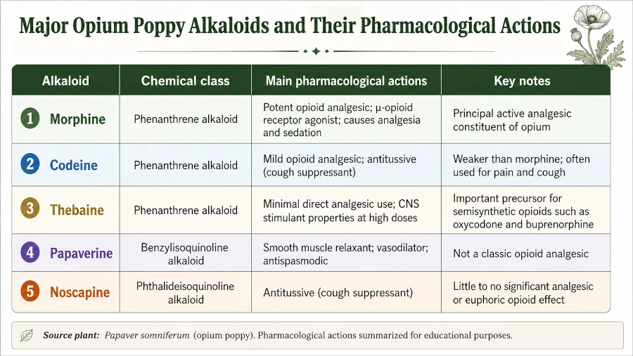 Table of major opium poppy alkaloids and their pharmacological actions.