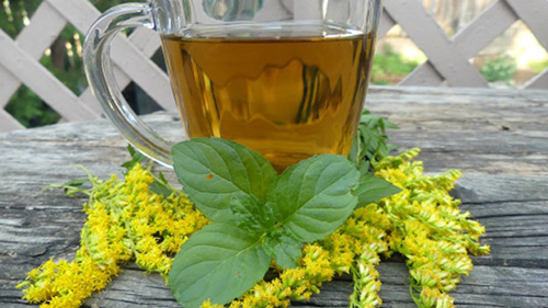 goldenrod tea benefits