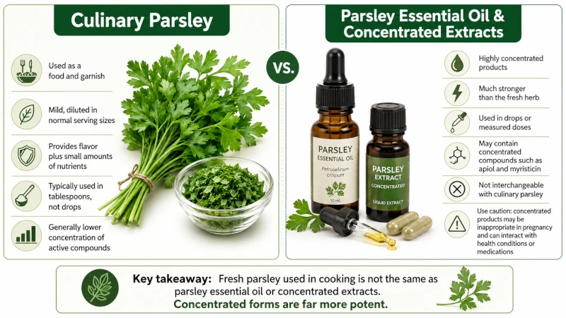 Side-by-side comparison graphic: culinary parsley versus parsley essential oil and concentrated extracts