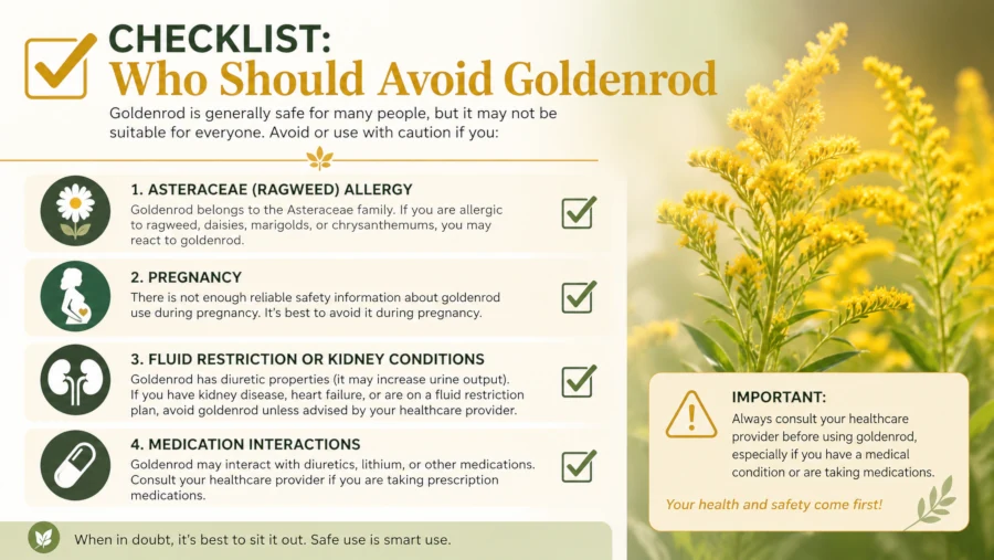 Checklist showing who should avoid goldenrod, including Asteraceae allergy, pregnancy and fluid restriction