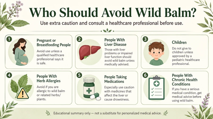 Summary graphic listing groups who should avoid wild balm, including pregnancy and liver disease.