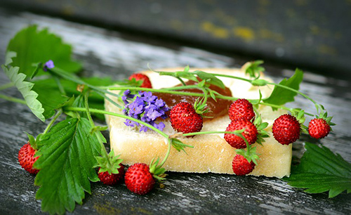 wild strawberry plant