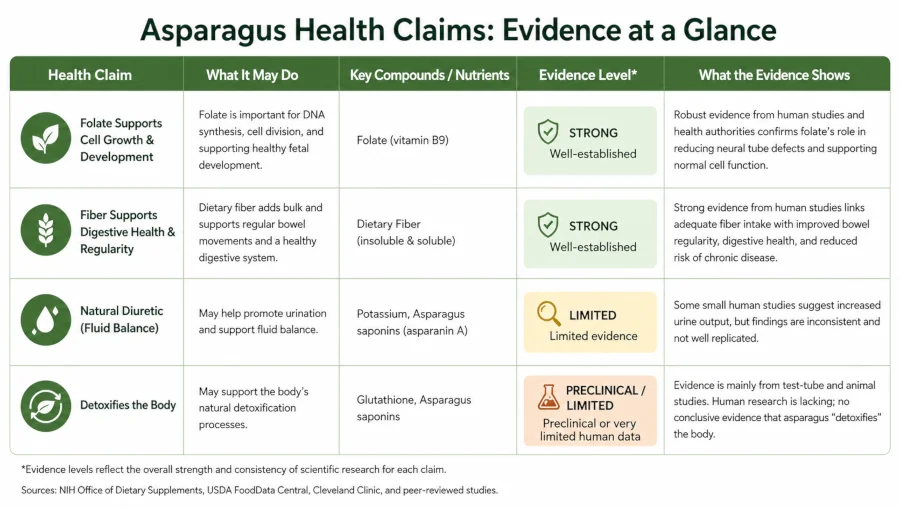 Table grading asparagus health claims by evidence: folate and fiber strong, diuretic and detox claims limited or preclinical.