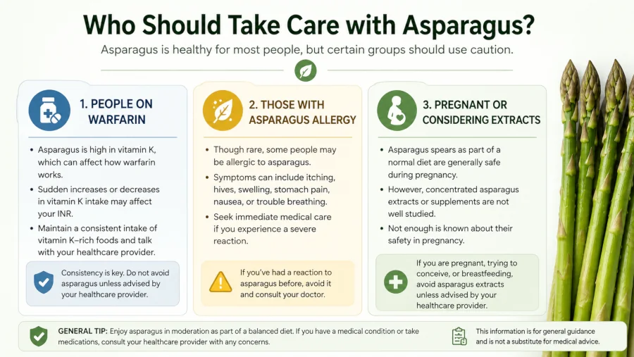 Summary card listing groups who should take care with asparagus: people on warfarin, those with asparagus allergy, and anyone considering extracts in pregnancy.