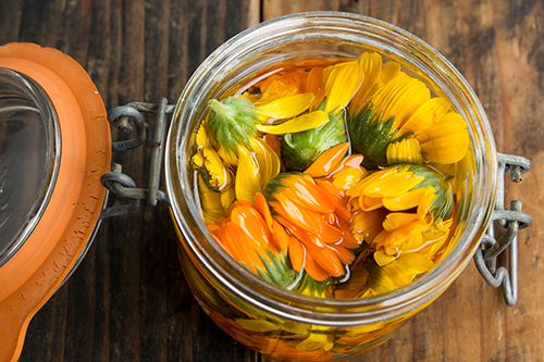 calendula flowers in jar of essential oil