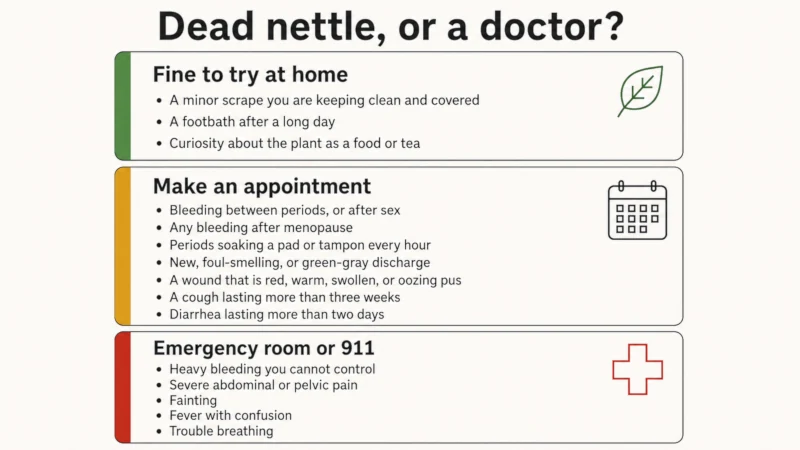 Three-tier guide showing which symptoms are safe to self-manage, which need a doctor appointment, and which require emergency care