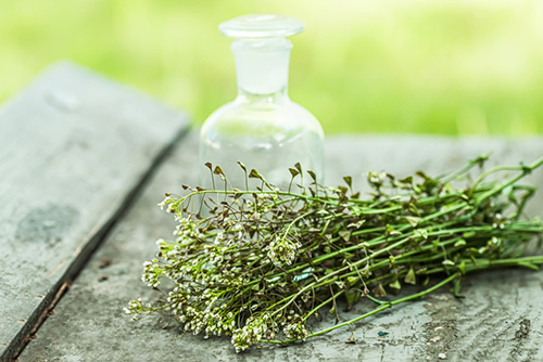 dried herbs on a table next to an empty bottle.