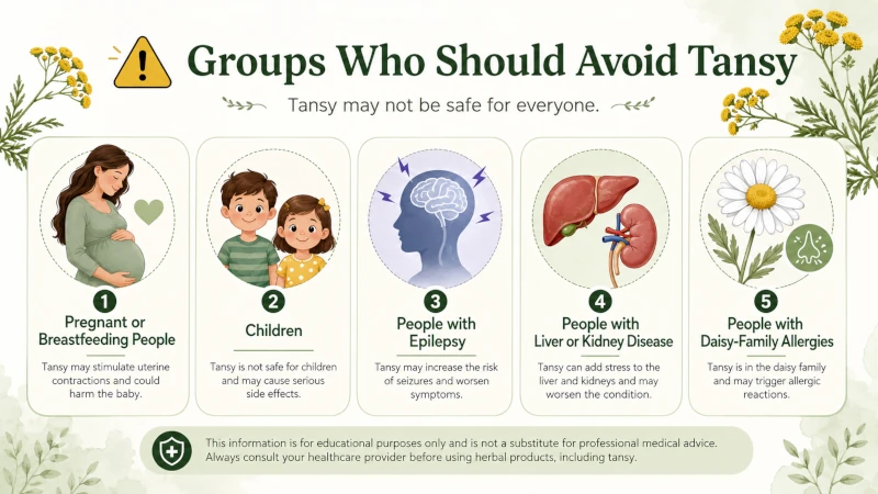 Groups who should avoid tansy: pregnant or breastfeeding people, children, those with epilepsy, liver or kidney disease, or daisy-family allergies.