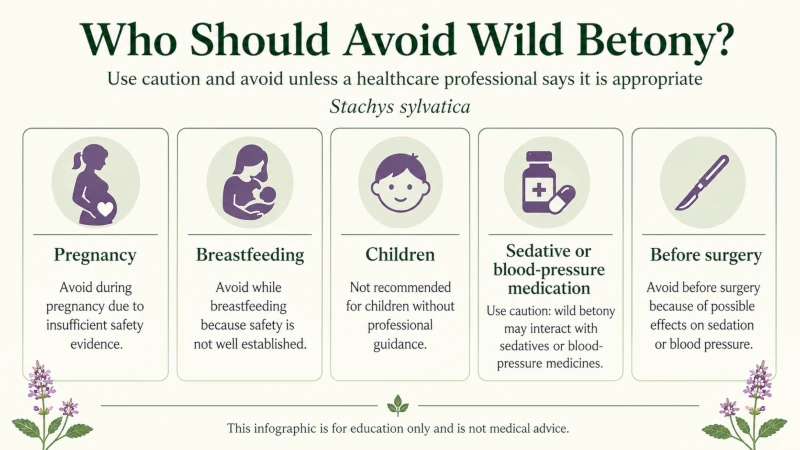 Infographic listing groups who should avoid wild betony: pregnancy, breastfeeding, children, sedative or blood-pressure medication, before surgery.