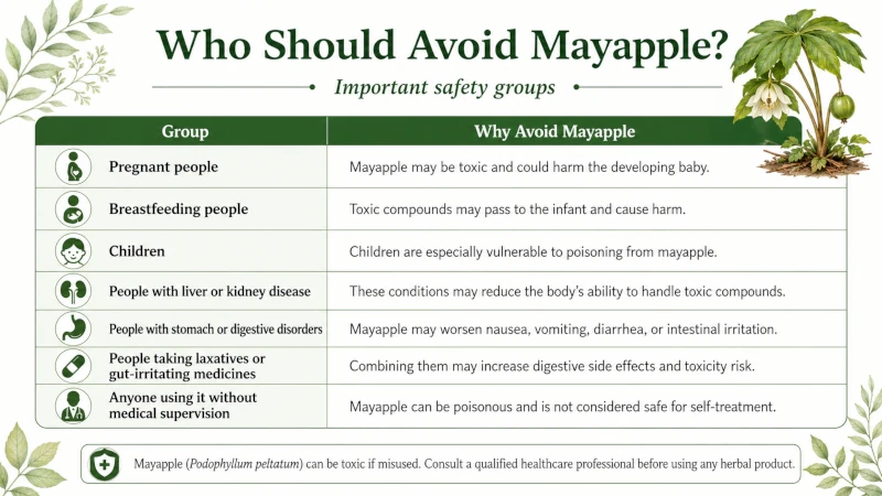 Table listing groups who should avoid mayapple, including pregnant and breastfeeding people.