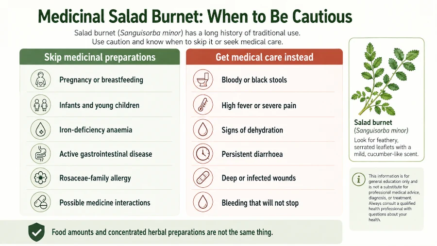 Safety guide showing who should avoid medicinal salad burnet and warning signs needing medical care