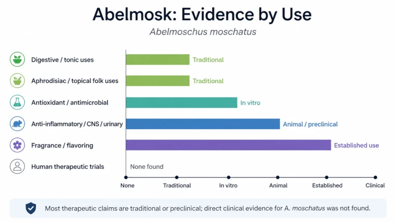 Chart comparing evidence levels for abelmosk uses, from traditional to clinical.