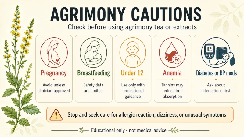 Summary of agrimony cautions: pregnancy, breastfeeding, under 12, anemia, and diabetes or blood-pressure medication.