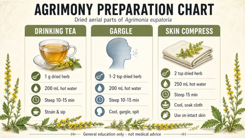 Chart showing how to prepare agrimony as a drinking tea, a gargle, and a skin compress, with quantities and steeping time.
