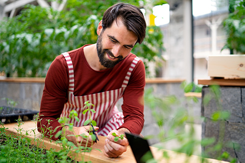 Best herbs for men: man smiling in front of flower pot of herbal plants